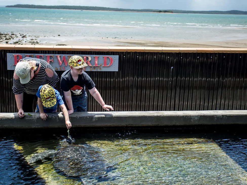 Hervey-Bay-Aquarium1