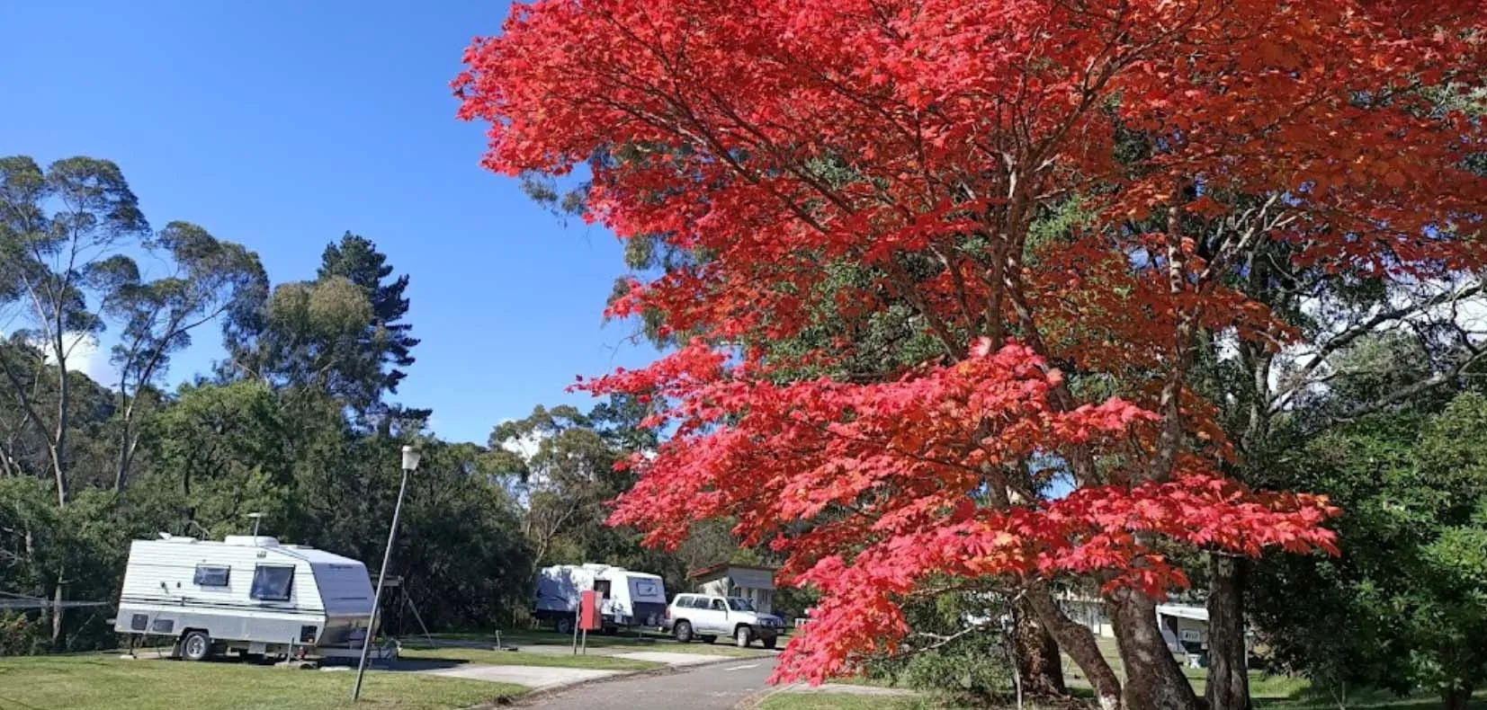 Blackheath-Glen-Tourist-Park1