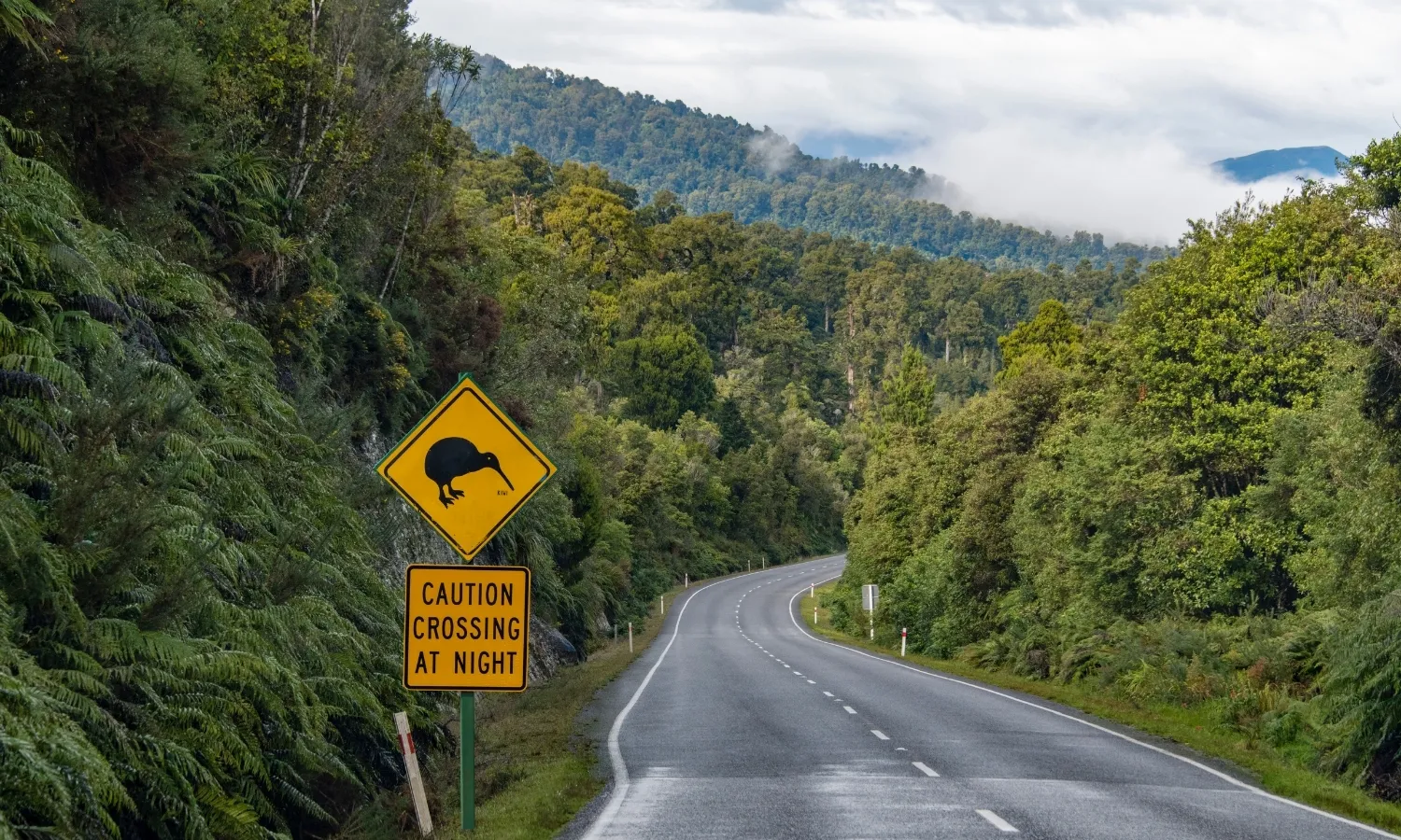 Winding New Zealand mountain road with road sign and valley views