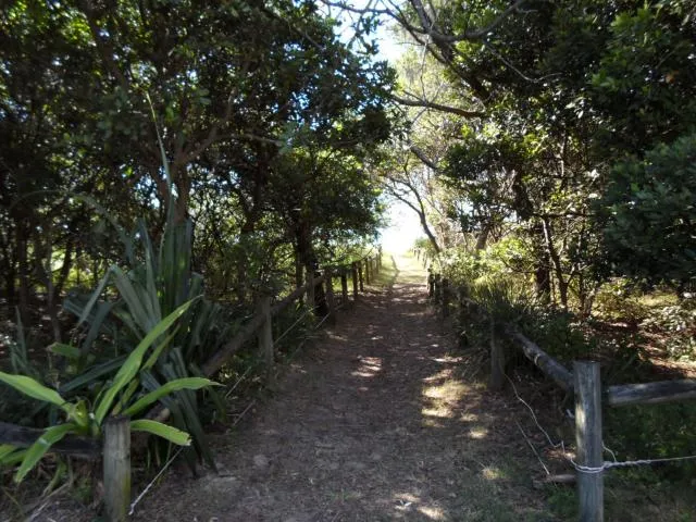 Koala-Villas-Caravan-Park1
