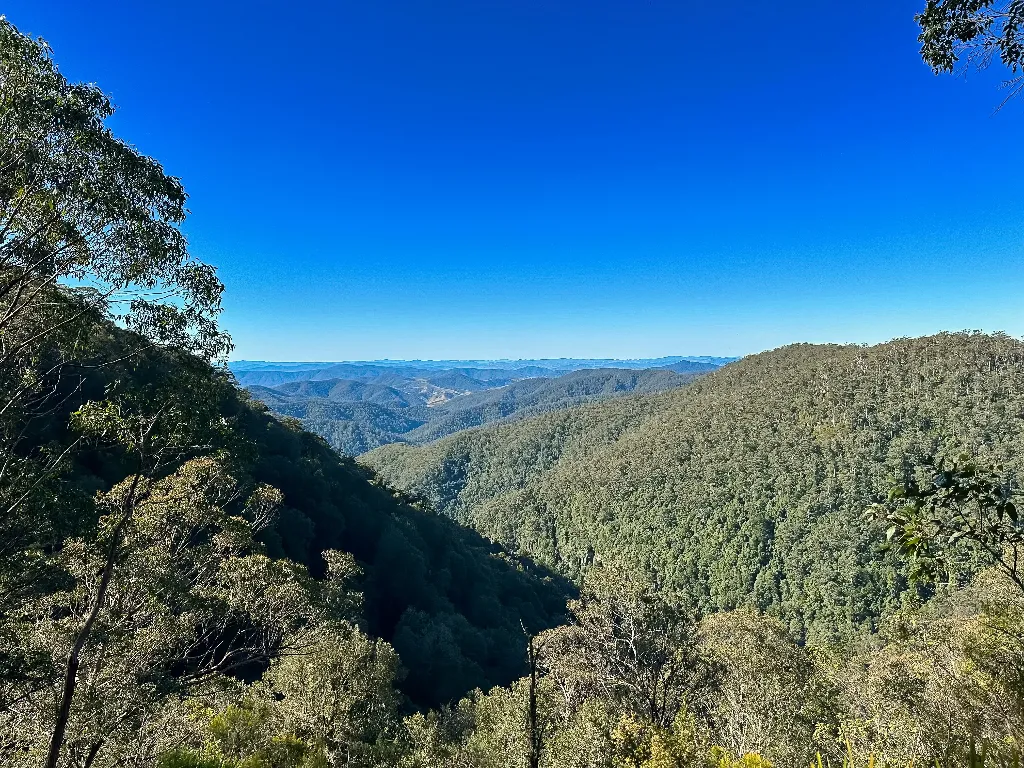 Scenic views of trees and mountains at Barrington Tops National Park