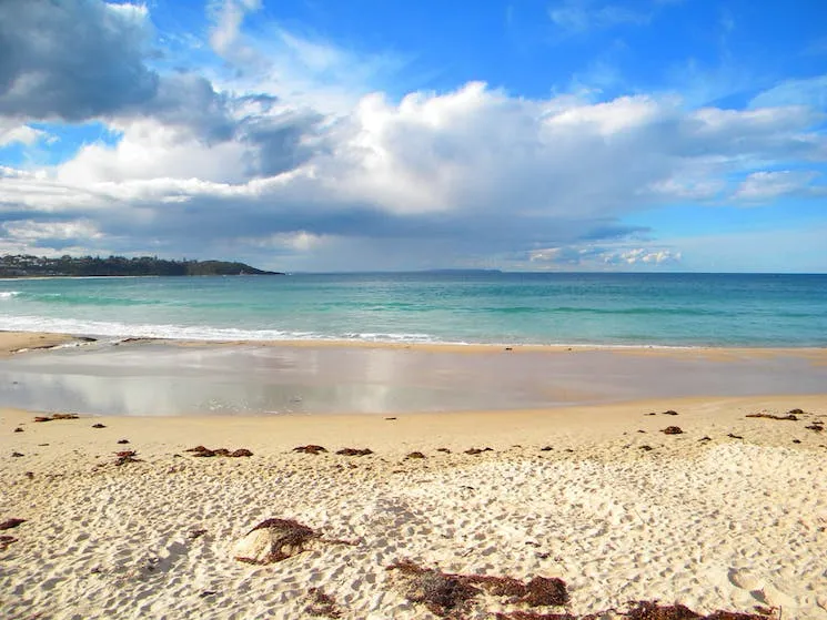 Panoramic view of Mollymook Beach, featuring a long sandy beach, blue ocean, and distant headlands.