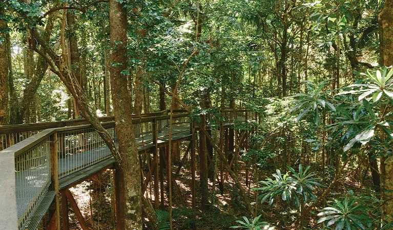 Sea-Acres-Rainforest1