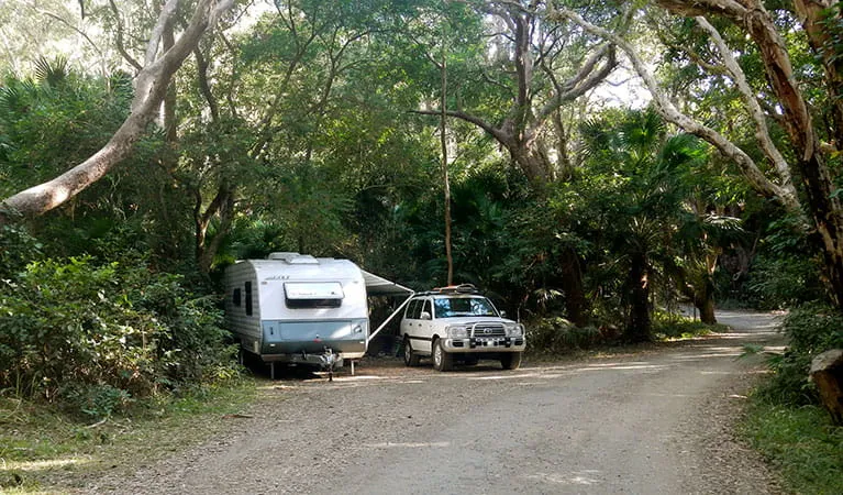 smoky-cape-campground-01