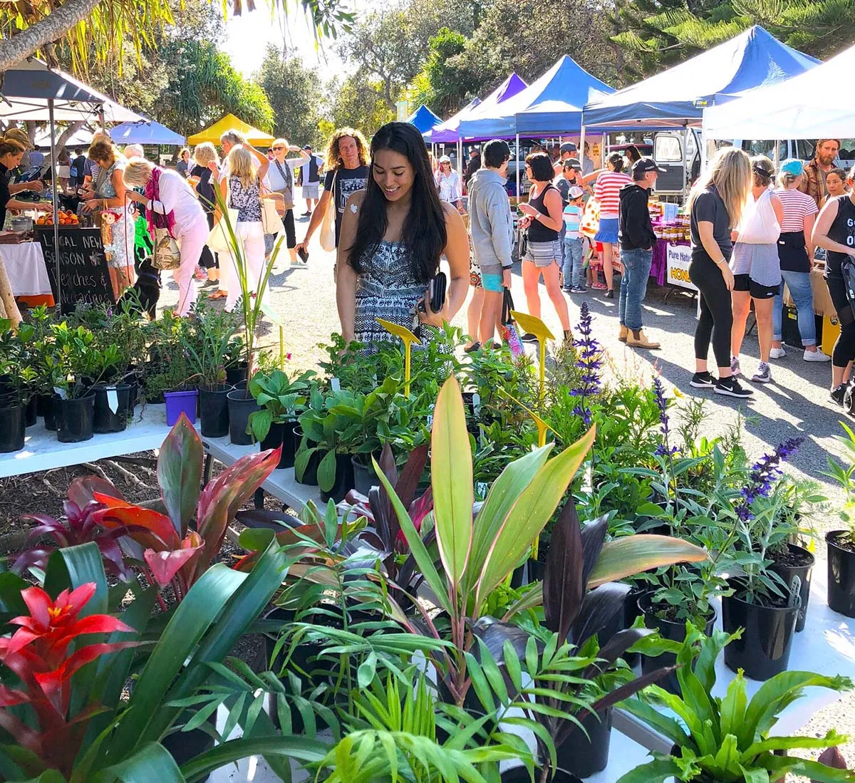 Yamba-Farmers-Market